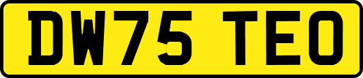 DW75TEO