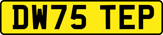 DW75TEP