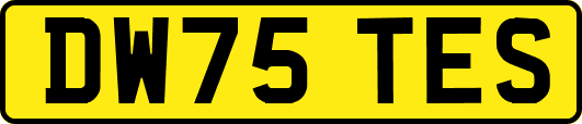 DW75TES