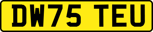 DW75TEU