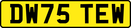 DW75TEW