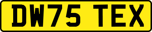 DW75TEX
