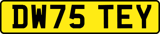 DW75TEY
