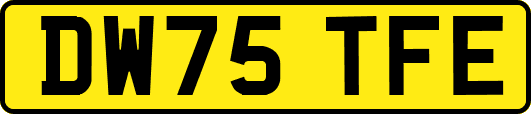 DW75TFE