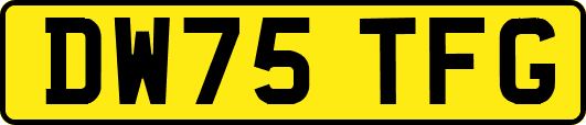 DW75TFG