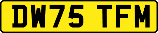 DW75TFM