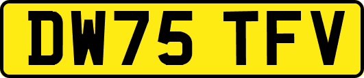 DW75TFV