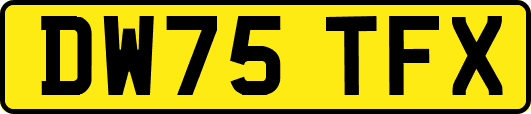 DW75TFX