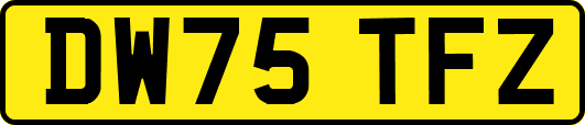 DW75TFZ