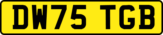 DW75TGB