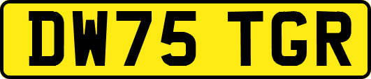 DW75TGR