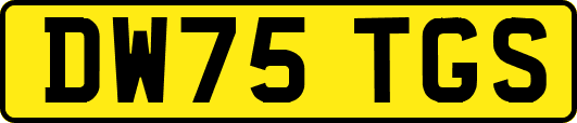 DW75TGS