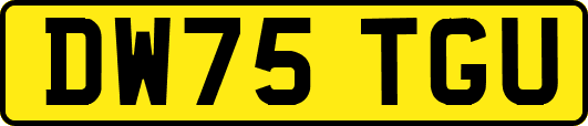 DW75TGU