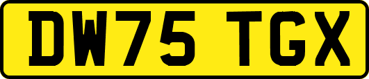 DW75TGX
