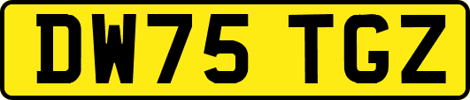 DW75TGZ