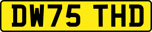 DW75THD