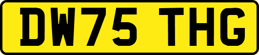 DW75THG