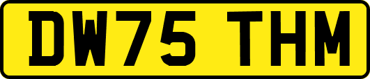 DW75THM