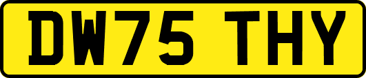 DW75THY