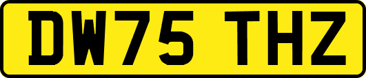 DW75THZ