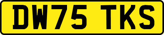 DW75TKS
