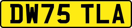 DW75TLA
