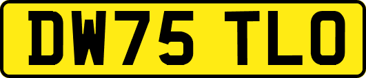 DW75TLO
