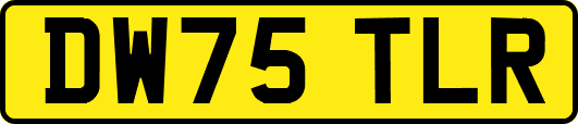 DW75TLR