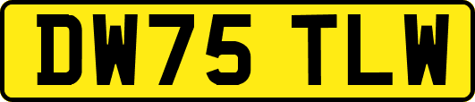 DW75TLW