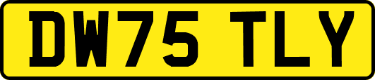 DW75TLY