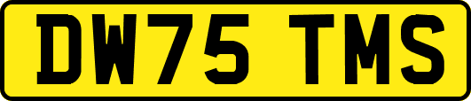 DW75TMS