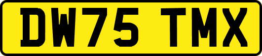 DW75TMX