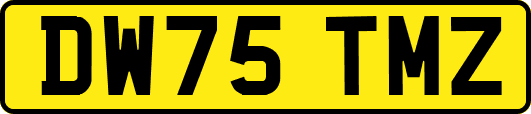 DW75TMZ