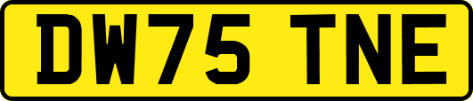DW75TNE