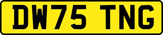 DW75TNG