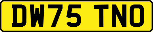 DW75TNO