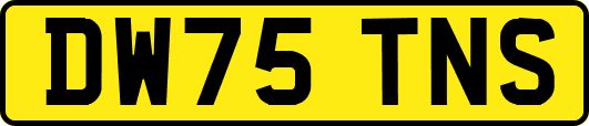 DW75TNS