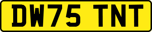 DW75TNT
