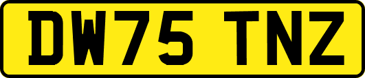 DW75TNZ