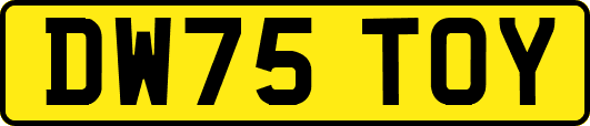 DW75TOY