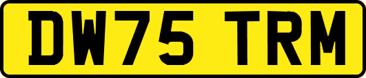 DW75TRM