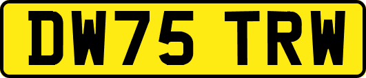 DW75TRW