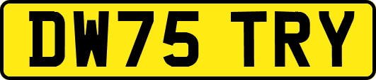 DW75TRY