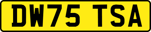 DW75TSA