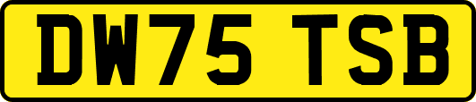DW75TSB
