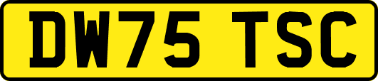 DW75TSC