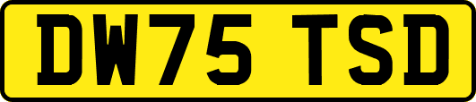 DW75TSD