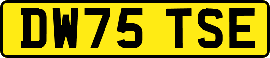 DW75TSE