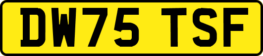 DW75TSF