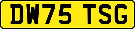 DW75TSG